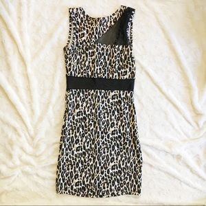 Leopard print club dress
